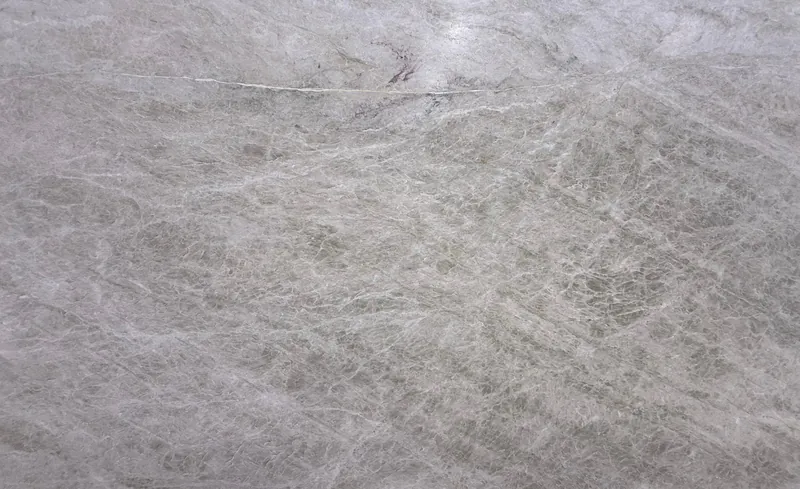 Taj Mahal quartzite, slab AC-11: a full slab in cool light gray with a web of fine white veins